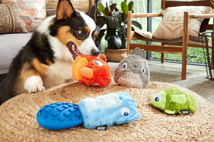 koera mänguasjad