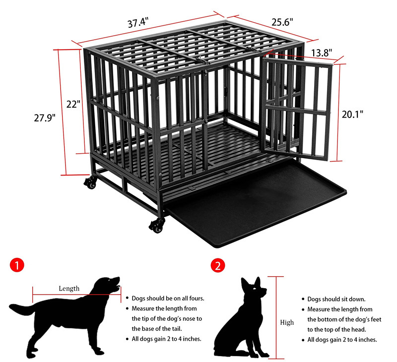 cage à chien en métal