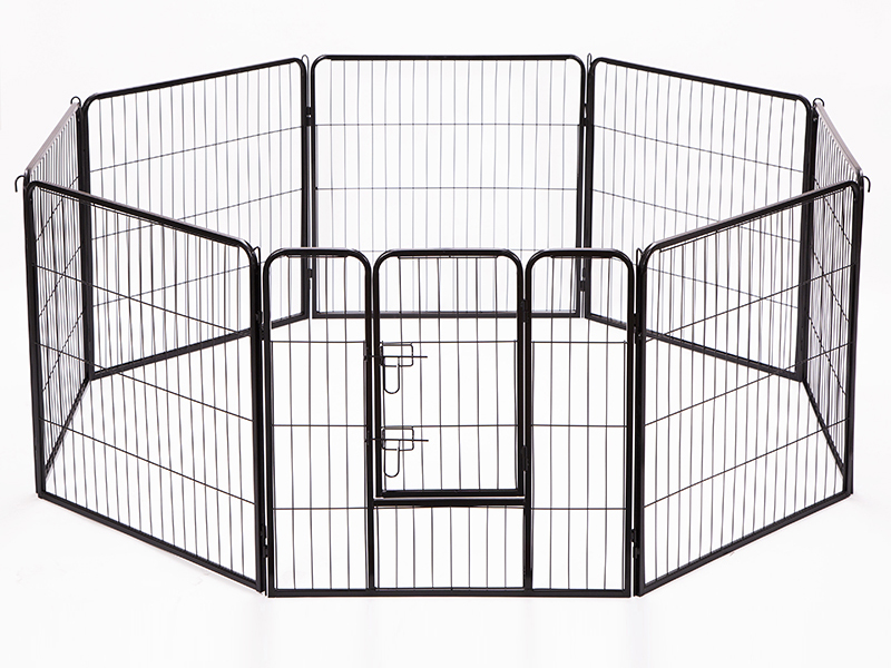 Dog fence (2)