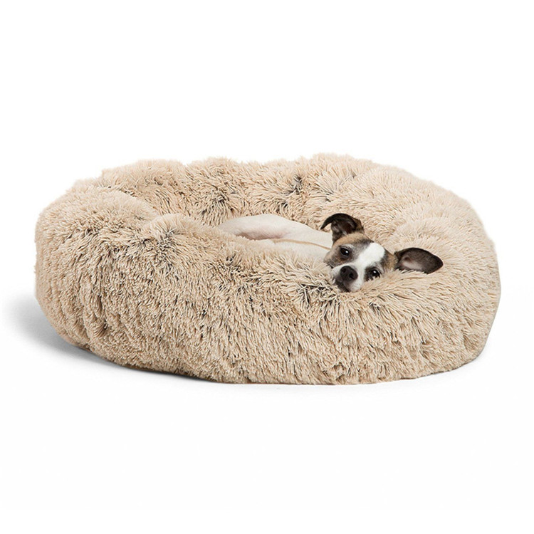 dog bed06